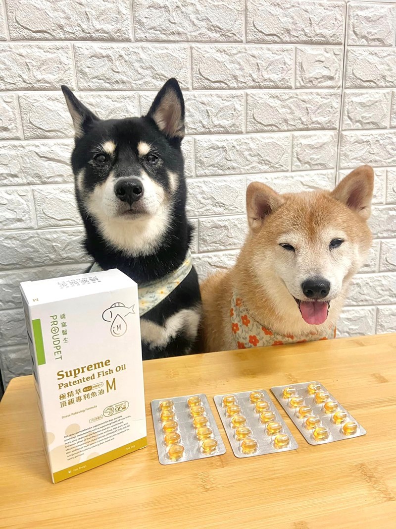 試用